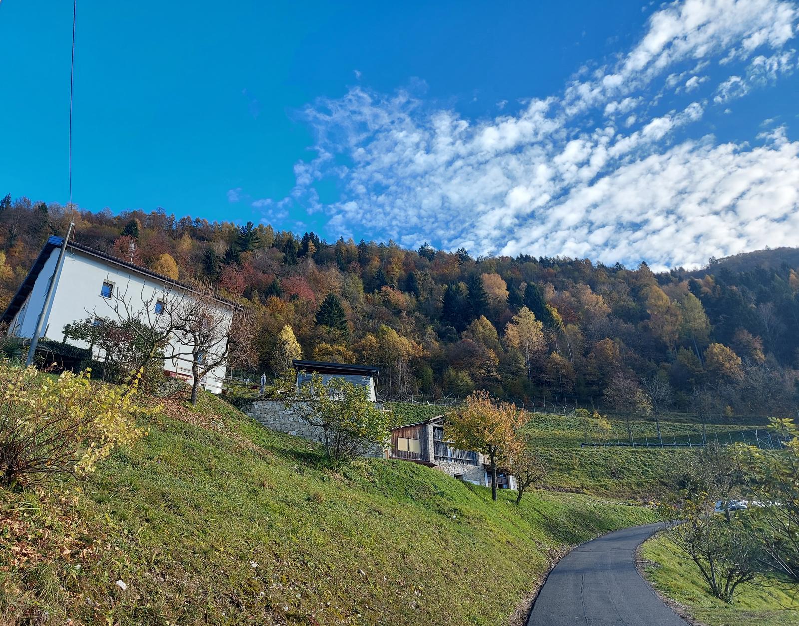 Il bosco d&rsquo;autunno sopra Saett&agrave;