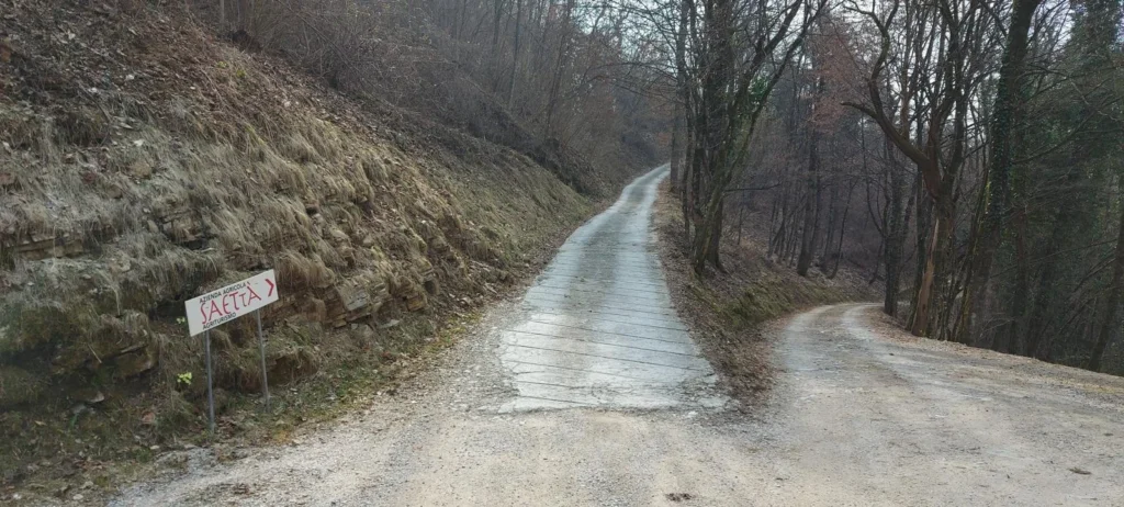 Bivio nel bosco con il cartello «Azienda Agricola Saettà Agriturismo» e una stradina stretta di cemento rigato che sale tra alberi spogli, con un tratto di ghiaia.